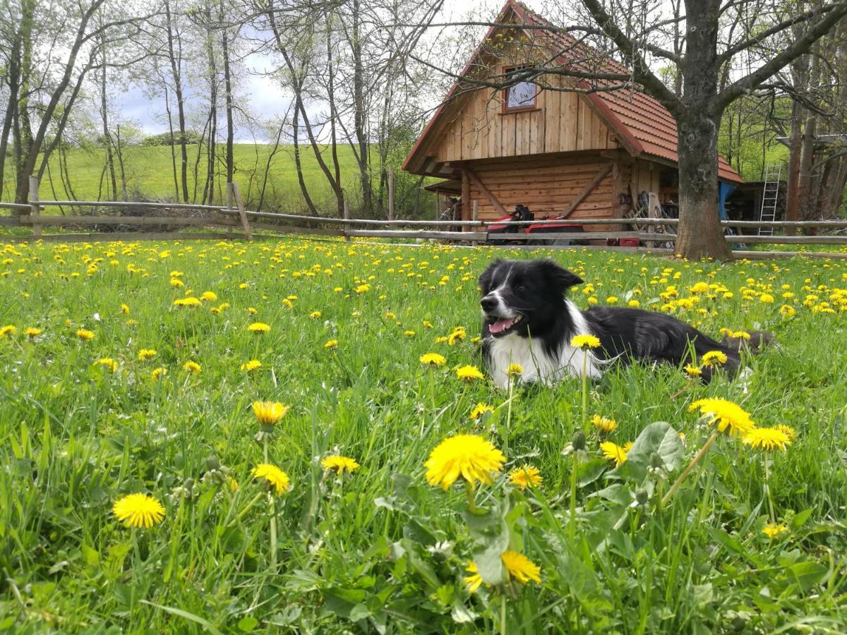 Holiday Home Holiday Raj Bešeňová Zewnętrze zdjęcie